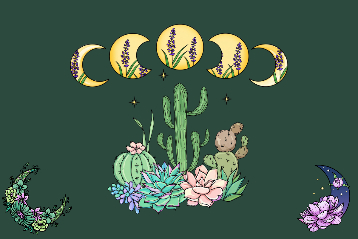 The Moon and the Garden — How Lunar Cycles Connect to Herbal Practice
